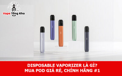 Disposable vaporizer